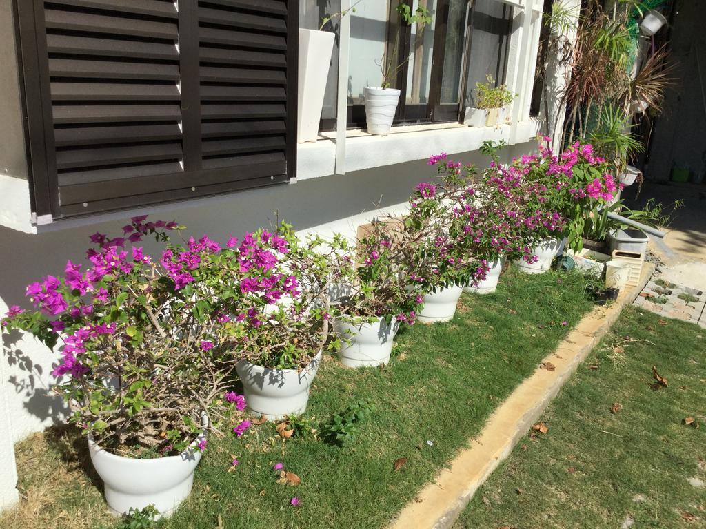 Minshuku Zabaru Hostel Ishigaki  Buitenkant foto