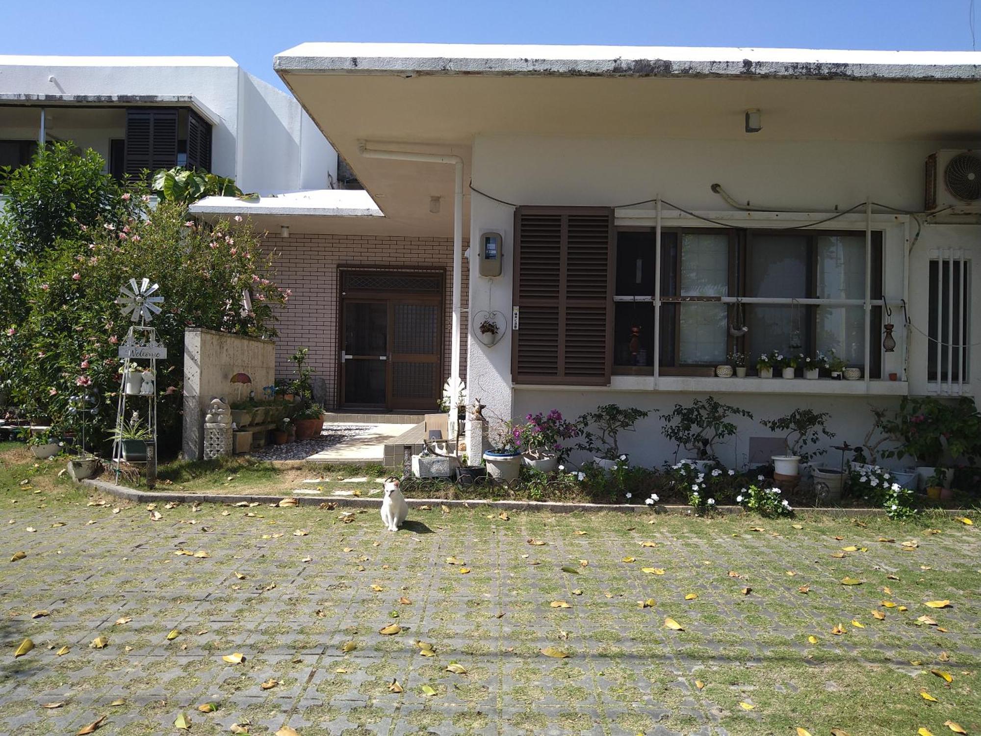 Minshuku Zabaru Hostel Ishigaki  Buitenkant foto