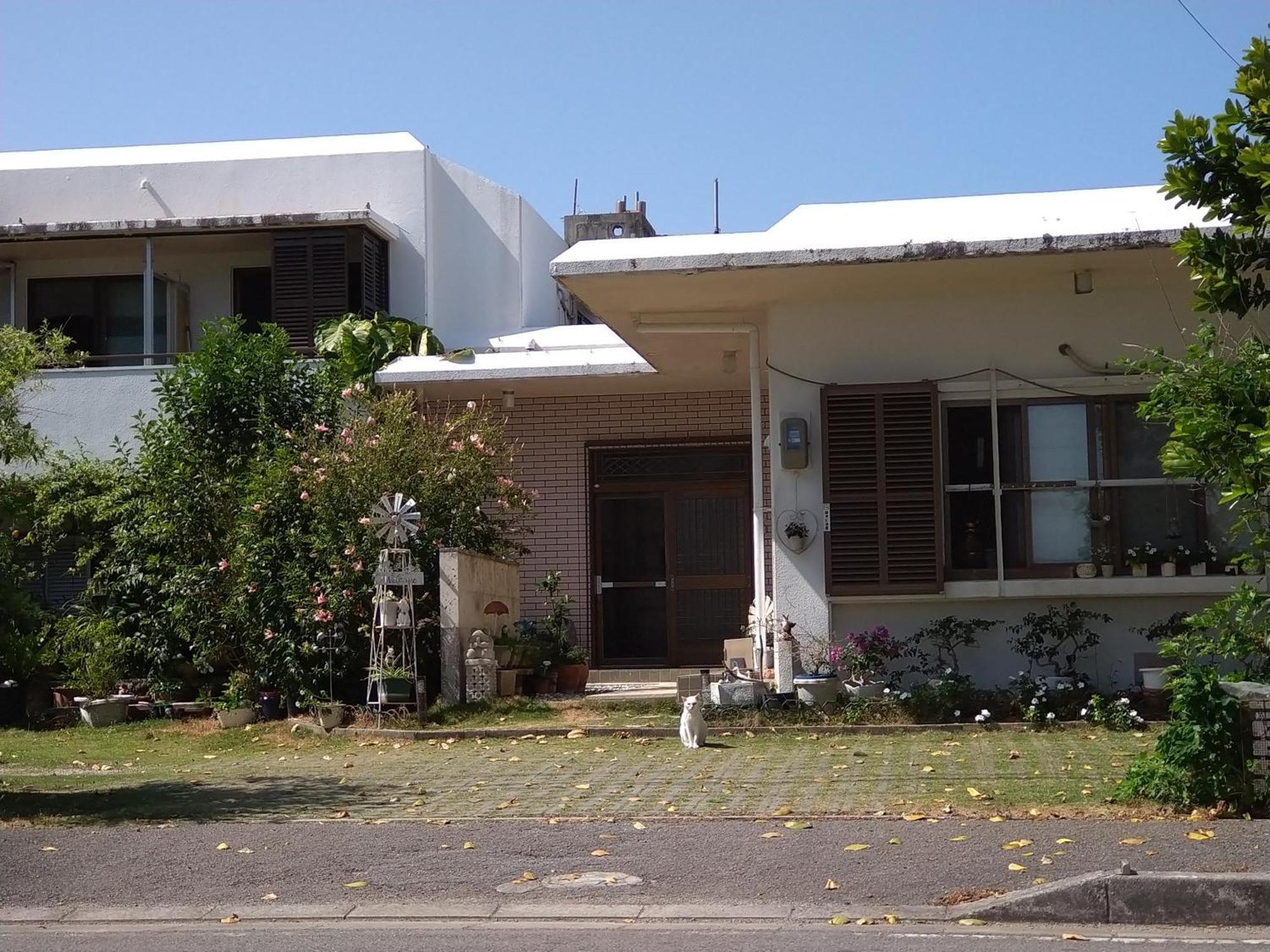 Minshuku Zabaru Hostel Ishigaki  Buitenkant foto