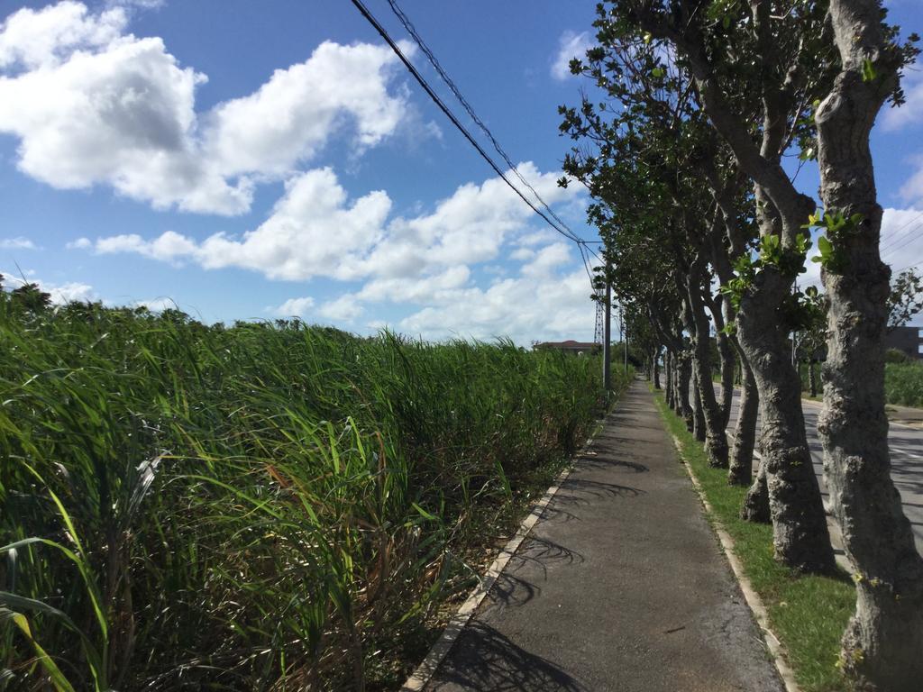 Minshuku Zabaru Hostel Ishigaki  Buitenkant foto