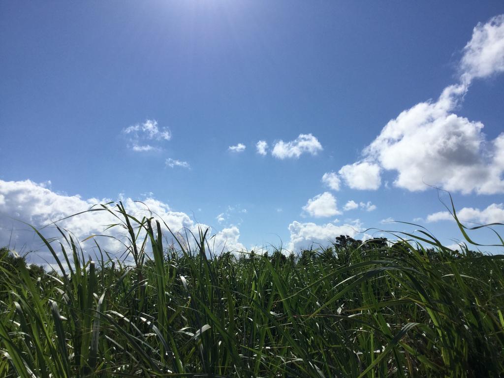 Minshuku Zabaru Hostel Ishigaki  Buitenkant foto