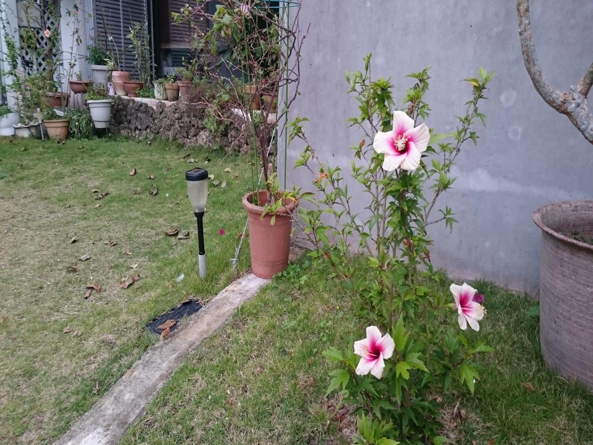 Minshuku Zabaru Hostel Ishigaki  Buitenkant foto